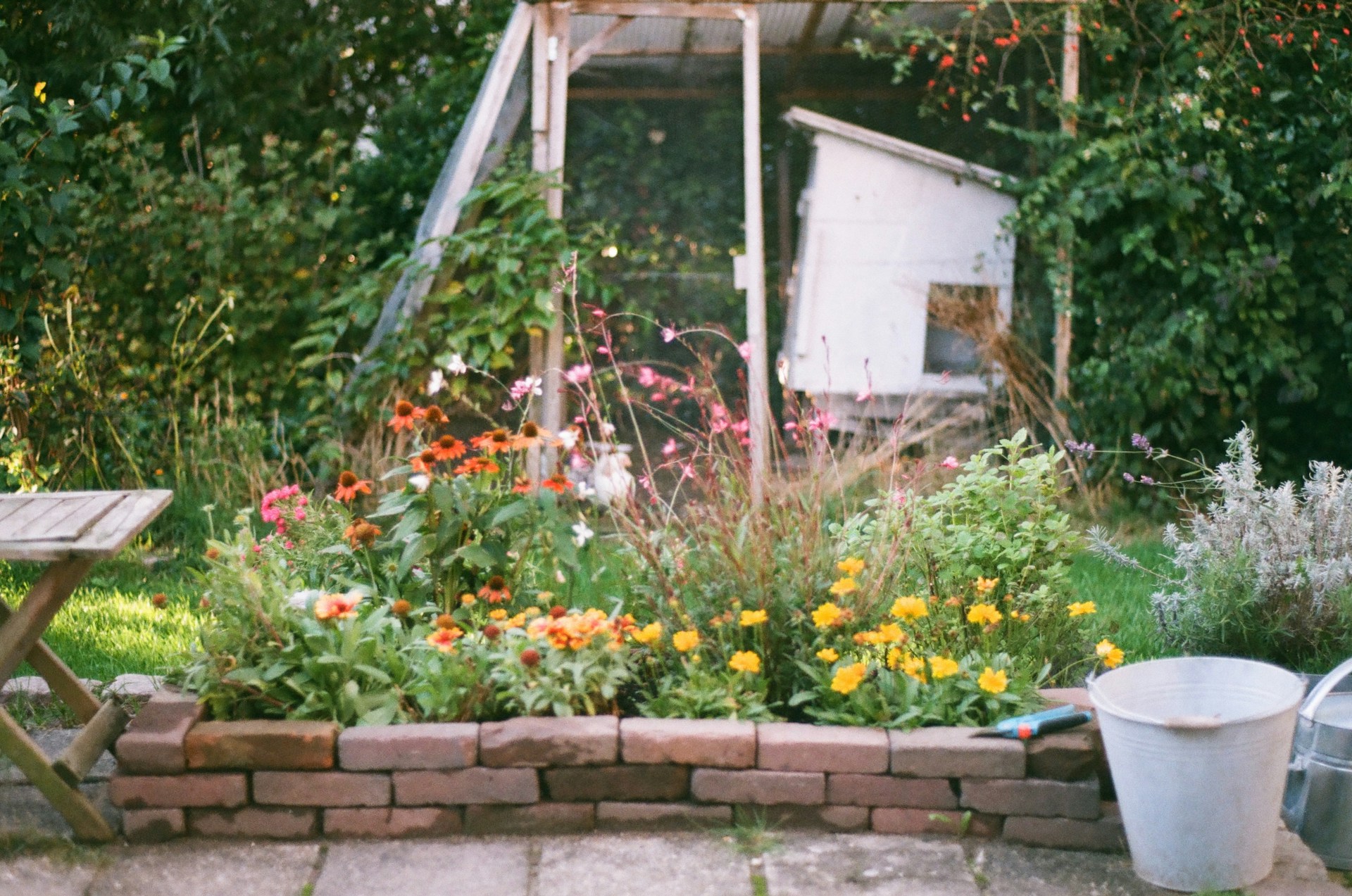 Woman happily gardening among flowers